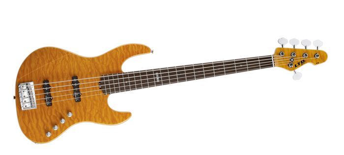 ESP_Guitars׃_E-II_J-5_Bass_(2).jpg